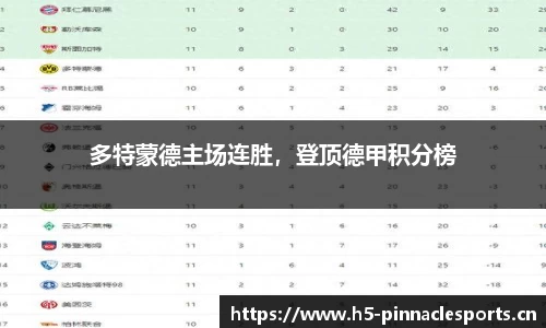 多特蒙德主场连胜，登顶德甲积分榜