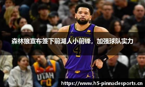 森林狼宣布签下前湖人小前锋，加强球队实力