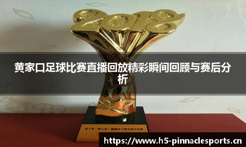 黄家口足球比赛直播回放精彩瞬间回顾与赛后分析