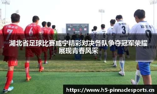 湖北省足球比赛咸宁精彩对决各队争夺冠军荣耀展现青春风采